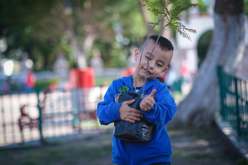 REALIZAN EN COACALCO REFORESTACIÓN URBANA