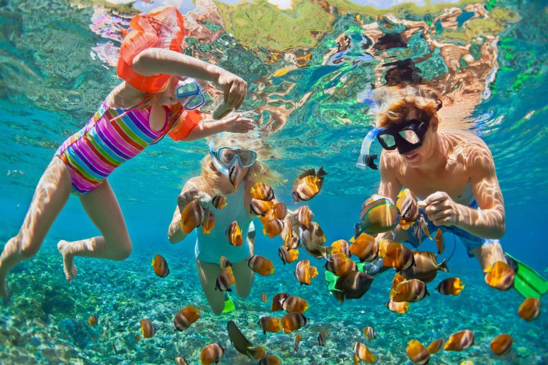 Disfrutar de vistas al mar con alojamientos en Hollywood Florida beachfront hotels