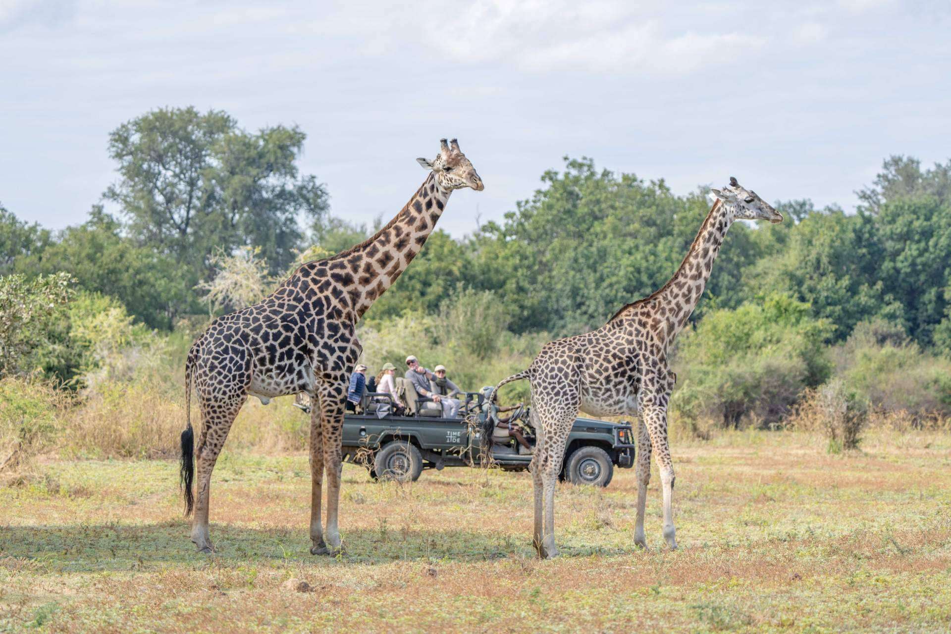 The African Experiences, una agencia de safaris de lujo referente en España