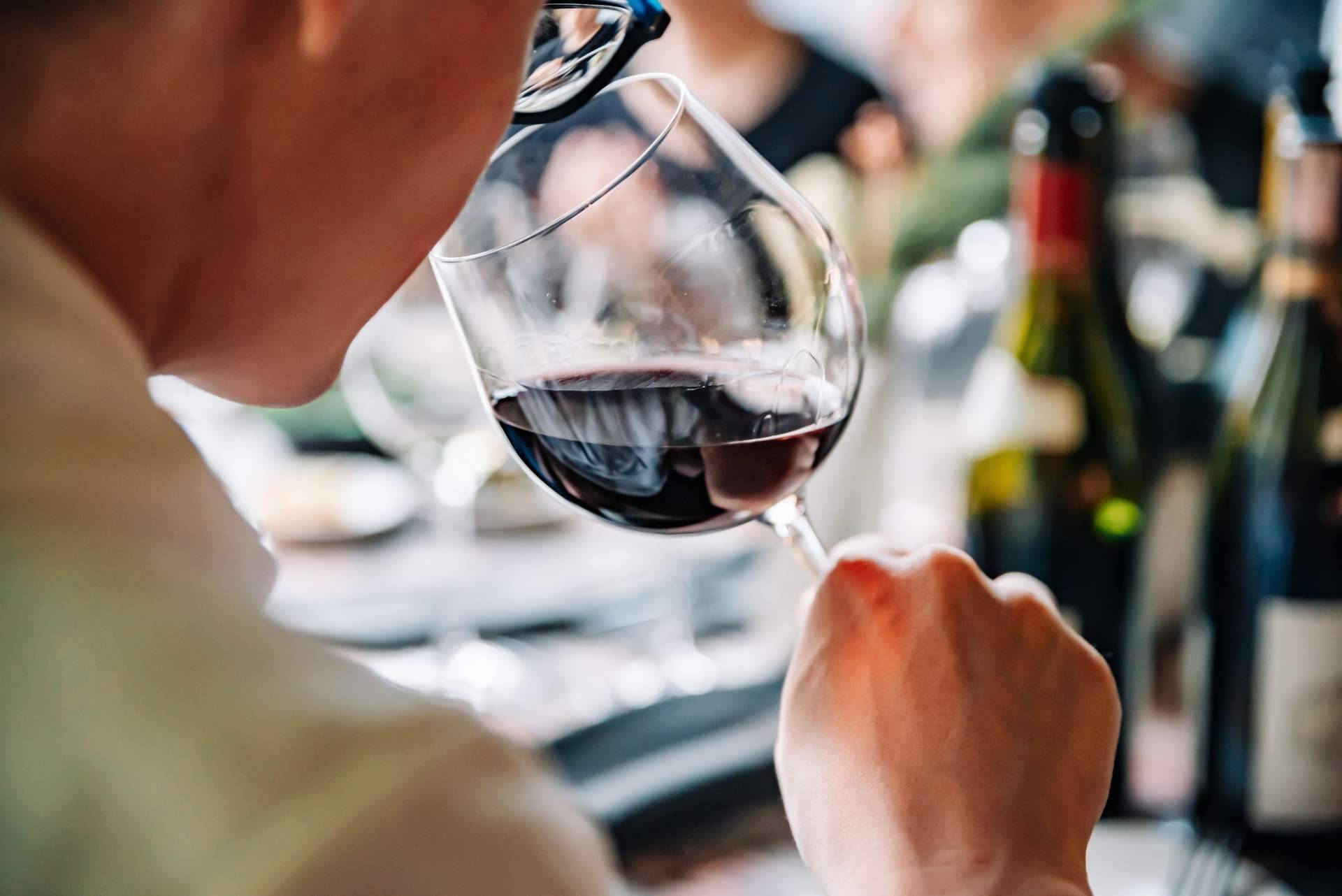 Rondo del Valle; una historia de amor familiar por el vino y el Valle de Guadalupe