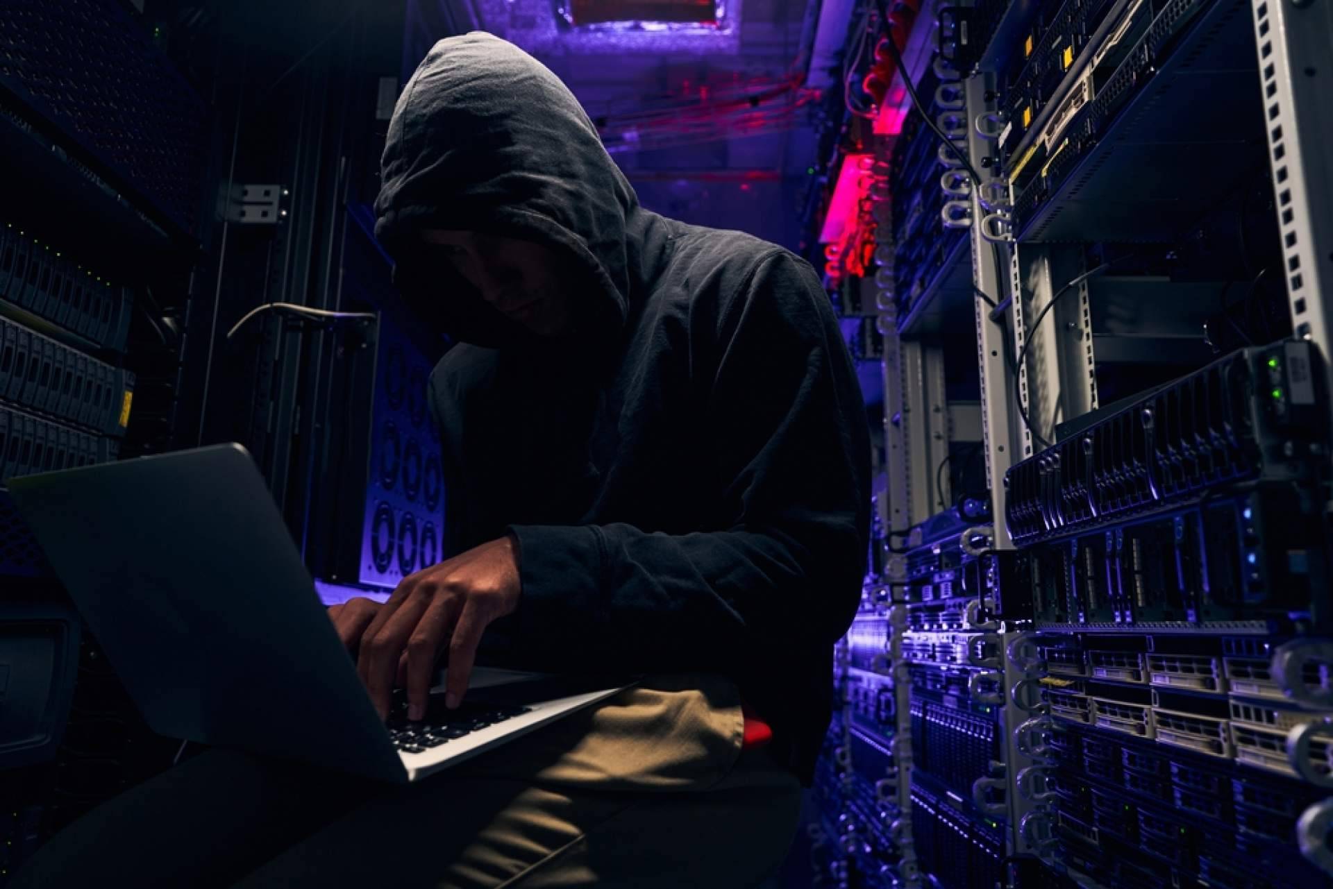 Las opiniones sobre Hixec consolidan su posición en formación en ciberseguridad